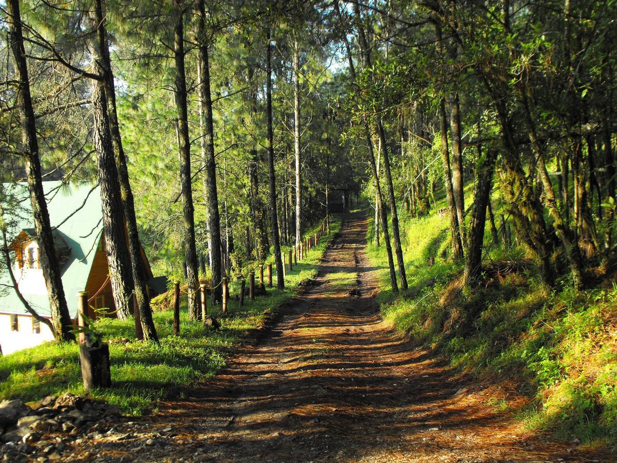 Cabanas Alpinas Lopez Fontes Valle de Bravo Exterior photo