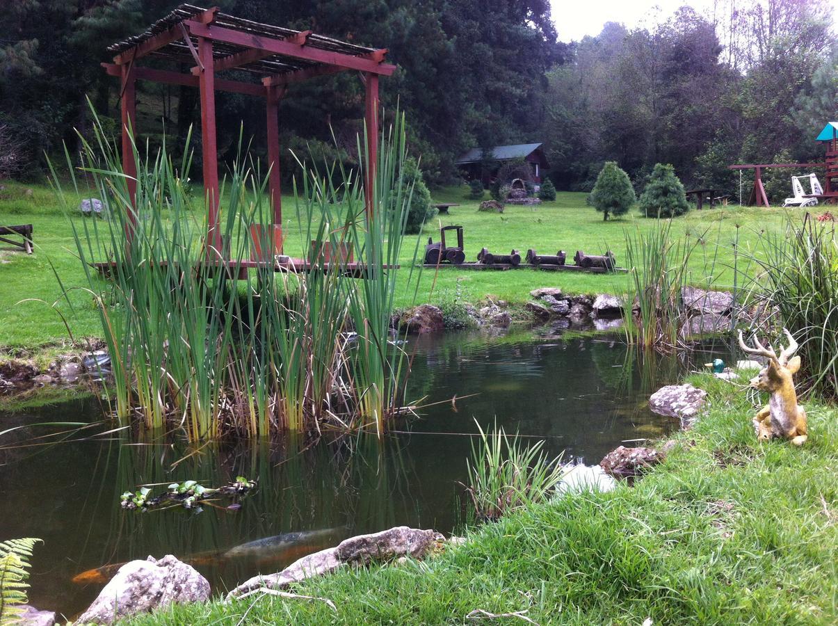 Cabanas Alpinas Lopez Fontes Valle de Bravo Exterior photo