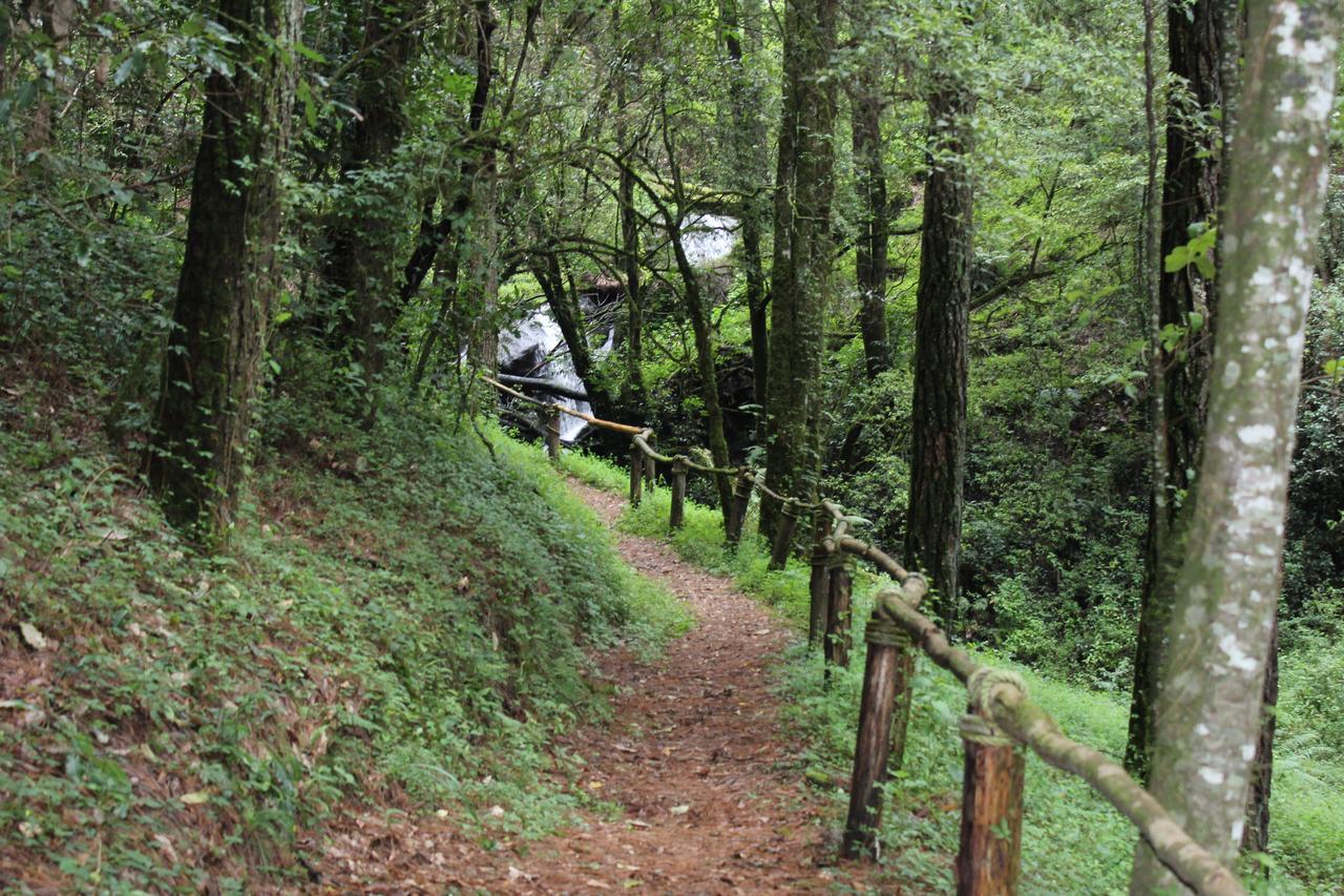 Cabanas Alpinas Lopez Fontes Valle de Bravo Exterior photo
